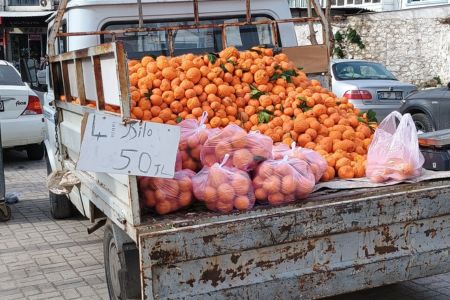 Ein Lieferwagen voller Orangen - vier Kilo für knapp 2 €.