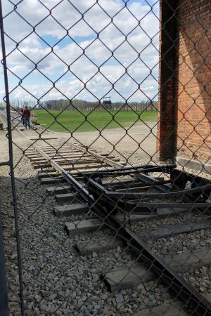 Die Gleise zur Rampe im ehemaligen Lager Birkenau.