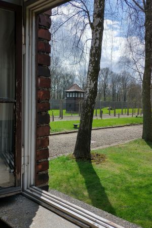 Blick aus dem Fenster eines Blocks in Auschwitz I auf einen Wachtturm