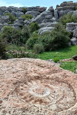 Abdruck eines großen Ammoniten, im Hintergrund die Karstlandschaft von El Torcal.