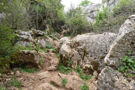 Steine, Gebüsch und ein schwer zu erkennender Weg auf der Gelben Route in El Torcál.