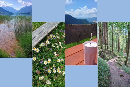 Fotocollage: Schliersee - Blumenwiese - Glas Buttermilch vor Bergkulisse - Waldweg.