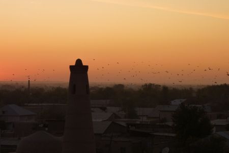 Ein Vogelschwarm fliegt am Horizont während des Sonnenuntergangs in Chiwa.