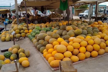 Melonen auf dem Markt in Nukus, Usbekistan.