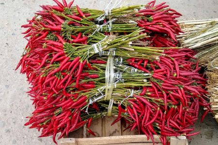 Bündel von Chilis auf dem Markt in Nukus, Usbekistan.