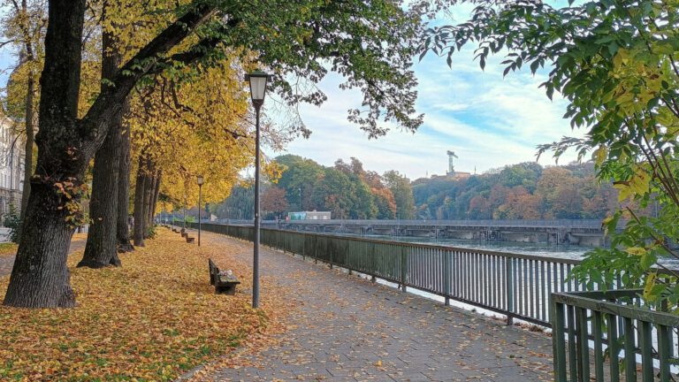 Gelbes Herbstlaub und Parkbänke am Isarkanal.