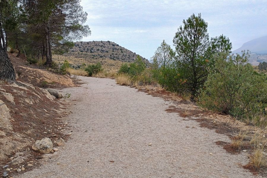 Der Wanderweg am Cerro de la Mina