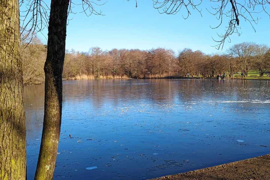 Der halbgefrorene Westsee im Westpark, München