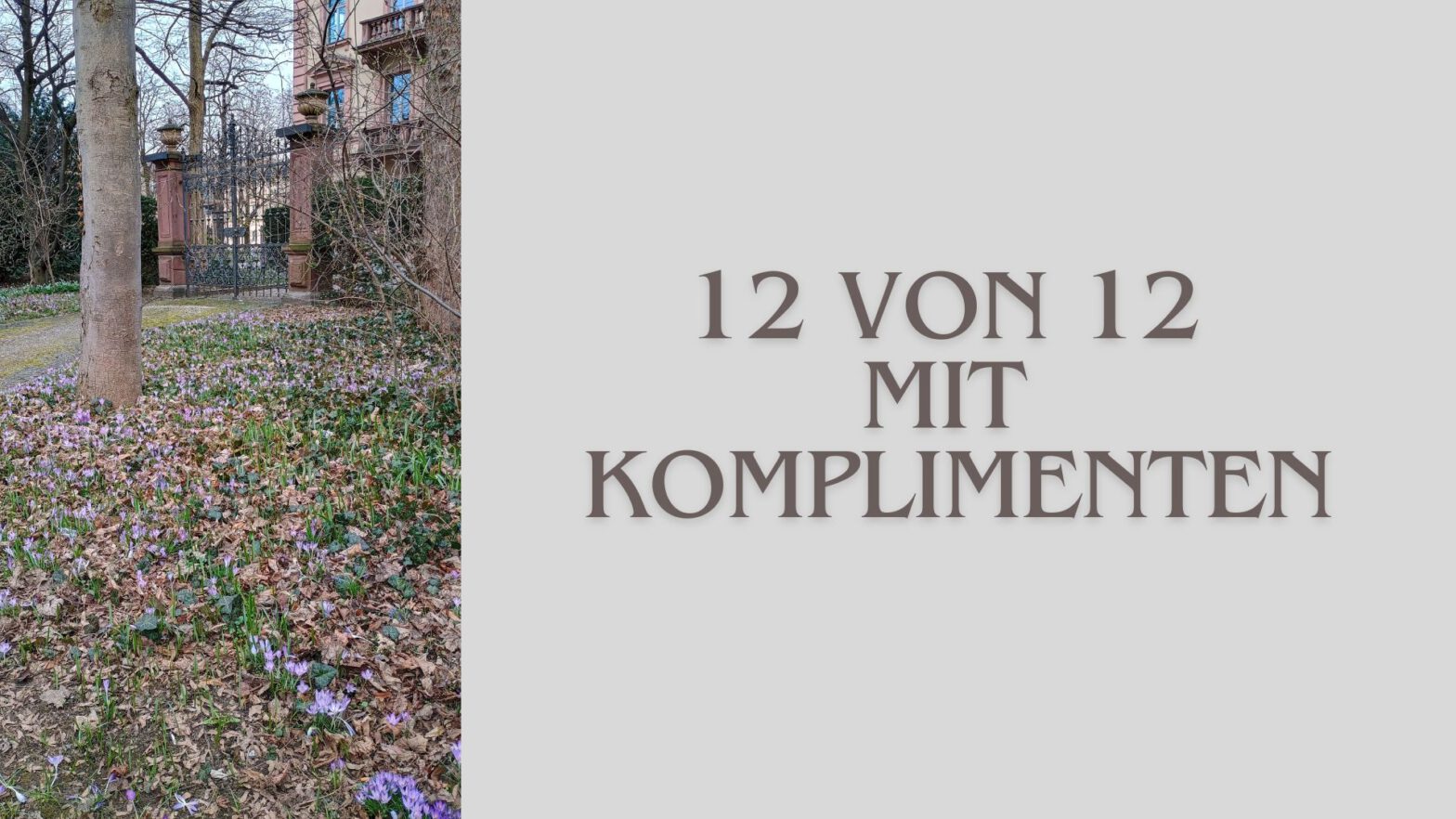 12 von 12 mit Komplimenten