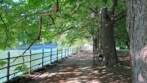 12 von 12 – Juni 2025: Sommerlich