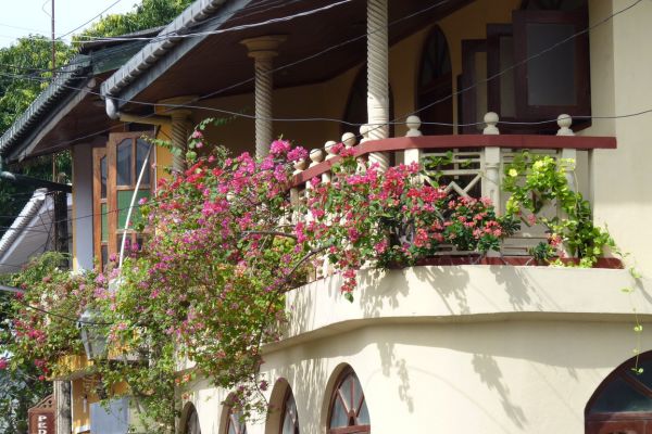 Detail eines Wohnhauses mit bepflanztem Balkon in Galle, Sri Lanka.