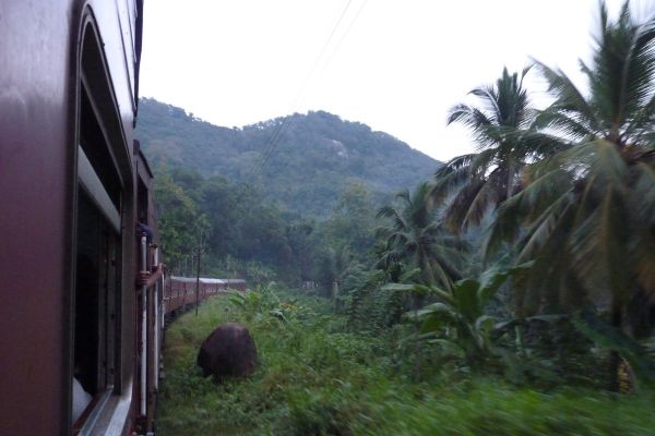 Blick aus dem Zugfenster in Sri Lanka.