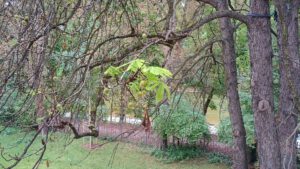 12 von 12 – September 2025: Der Herbst ist da